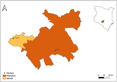 Food safety in informal public markets in Kenya: perceptions of stakeholders in the food chain